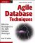 Agile Database Techniques