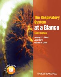 Respiratory System at a Glance