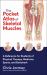 The Pocket Atlas of Skeletal Muscles : A Reference for Students of Physical Therapy, Medicine, Sports, and Bodywork