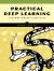 Practical Deep Learning : A Python-Based Introduction