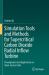 Simulation Tools and Methods for Supercritical Carbon Dioxide Radial Inflow Turbine : Development and Application on Open-Source Code