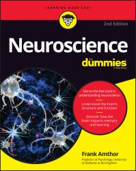 Neuroscience for Dummies