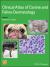 Clinical Atlas of Canine and Feline Dermatology