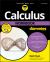 Calculus Workbook for Dummies with Online Practice