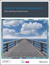 Strategic Business Management : From Planning to Performance