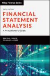 Financial Statement Analysis : A Practitioner's Guide