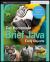 Brief Java: Early Objects, 9e Print Companion with Wiley e-Text Reg Card Set