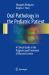 Oral Pathology in the Pediatric Patient : A Clinical Guide to the Diagnosis and Treatment of Mucosal Lesions