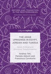 Political, Economic and Social Transformations in the Wake of the Arab Uprisings