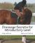 Dressage Secrets for Introductory Level