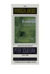 The Hydrogen Jukebox : Selected Writings of Peter Schjeldahl, 1978-1990