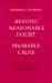 Beyond Reasonable Doubt and Probable Cause : Historical Perspectives on the Anglo-American Law of Evidence