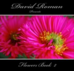 David RomanpresentsFlowers Book 2