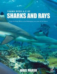 A-Z Sharks and Rays : From the Great White to the Wobbegong, We Cover All the Basics