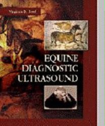 Equine Diagnostic Ultrasound