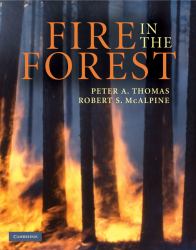 Fire in the Forest