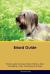 Briard Guide Briard Guide Includes: Briard Training, Diet, Socializing, Care, Grooming, Breeding and More