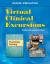 Virtual Clinical Excursions 3. 0 for Psychiatric Nursing