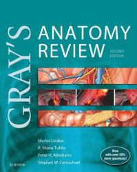 Gray's Anatomy Review