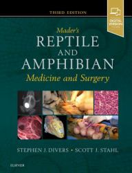 Medicine and Surgery