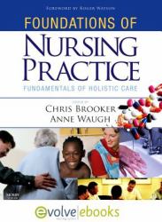 Foundations of Nursing Practice : Fundamentals of Holistic Care