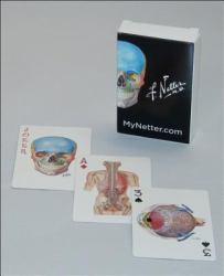 Netter Playing Cards : Netter's Anatomy Art Card Deck (Single Pack)