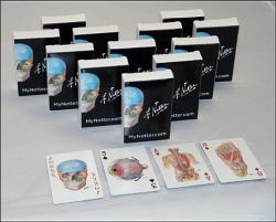 Netter Playing Cards : Netter's Anatomy Art Cards Box of 12 Decks (Bulk)