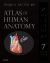 Atlas of Human Anatomy, Professional Edition : Including NetterReference. com Access with Full Downloadable Image Bank