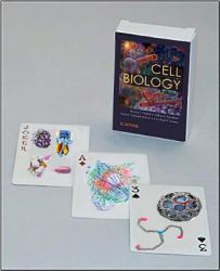 Cell Biology Playing Cards : Cell Biology Playing Cards: Art Card Deck (Single Pack)