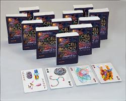 Cell Biology Playing Cards : Cell Biology Playing Cards: Art Cards Box of 12 Decks (Bulk)