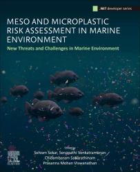 Meso and Microplastic Risk Assessment in Marine Environments : New Threats and Challenges