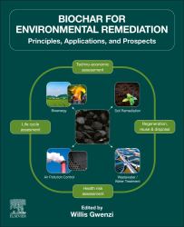 Biochar for Environmental Remediation : Principles, Applications, and Prospects