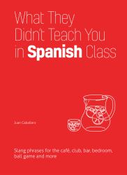 What They Didn't Teach You in Spanish Class : Slang Phrases for the Cafe, Club, Bar, Bedroom, Ball Game and More