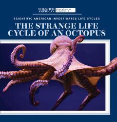 The Strange Life Cycle of an Octopus