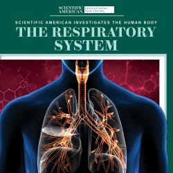 The Respiratory System