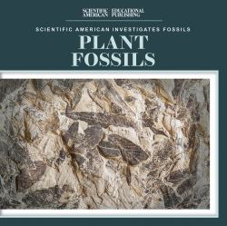 Plant Fossils