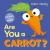 Are You a Carrot? : With Lift-The-Flaps and a Mirror!