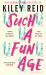 Such a Fun Age : 'the Book of the Year' Independent