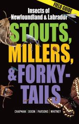 Stouts, Millers and Forky-Tails : Insects of Newfoundland and Labrador