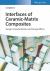 Interface of Ceramic-Matrix Composites : Design, Characterization, and Damage Effects