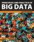 Principles and Practice of Big Data : Preparing, Sharing, and Analyzing Complex Information