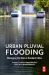 Urban Pluvial Flooding : Managing the Risk in Resilient Cities