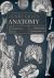 Henry Gray's Anatomy : Surgical and Descriptive