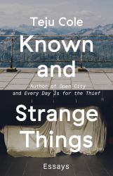 Known and Strange Things : Essays