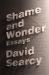 Shame and Wonder : Essays