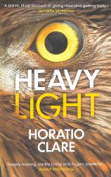 Heavy Light : A Journey Through Madness, Mania and Healing