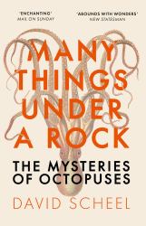 Many Things under a Rock : The Mysteries of Octopuses