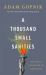 A Thousand Small Sanities : The Moral Adventure of Liberalism