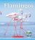 Flamingos (Nature's Children) (Library Edition)