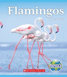 Flamingos